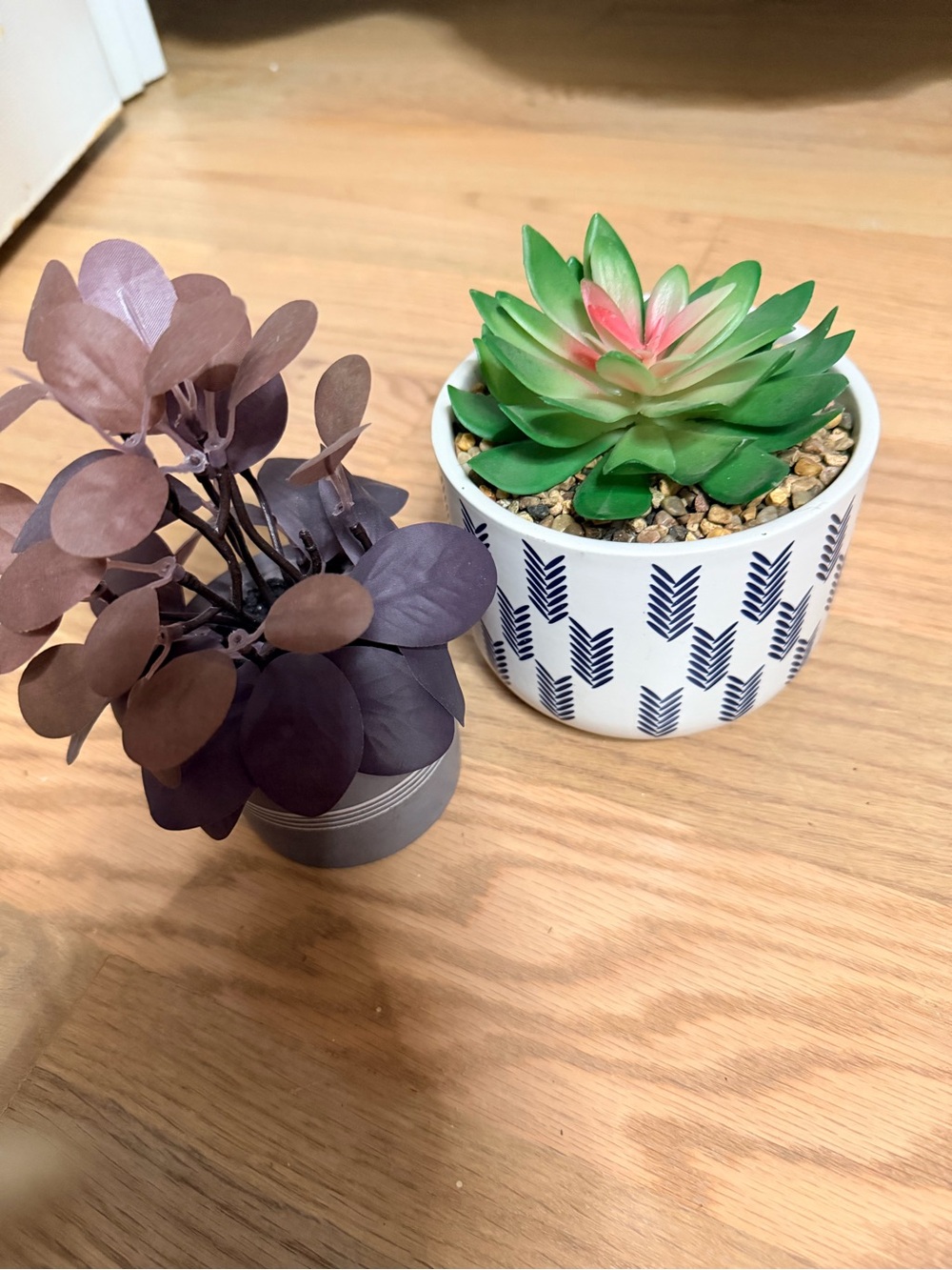 Unbranded Green & Pink Faux Succulent in Patterned White Pot